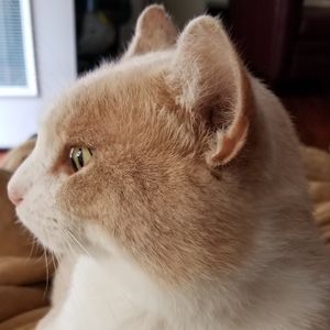 Meet your Posher, Edward